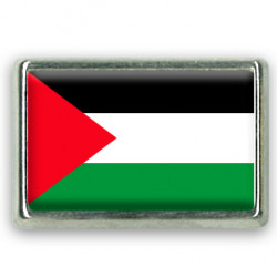 Pins rectangle : Drapeau Palestine