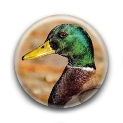 Badge Canard Colvert