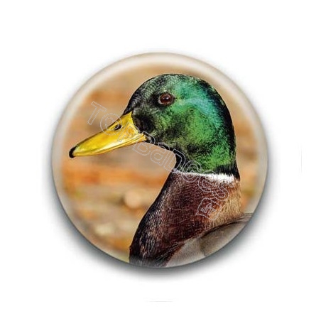 Badge Canard Colvert