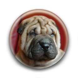 Badge Chiot Shar Pei