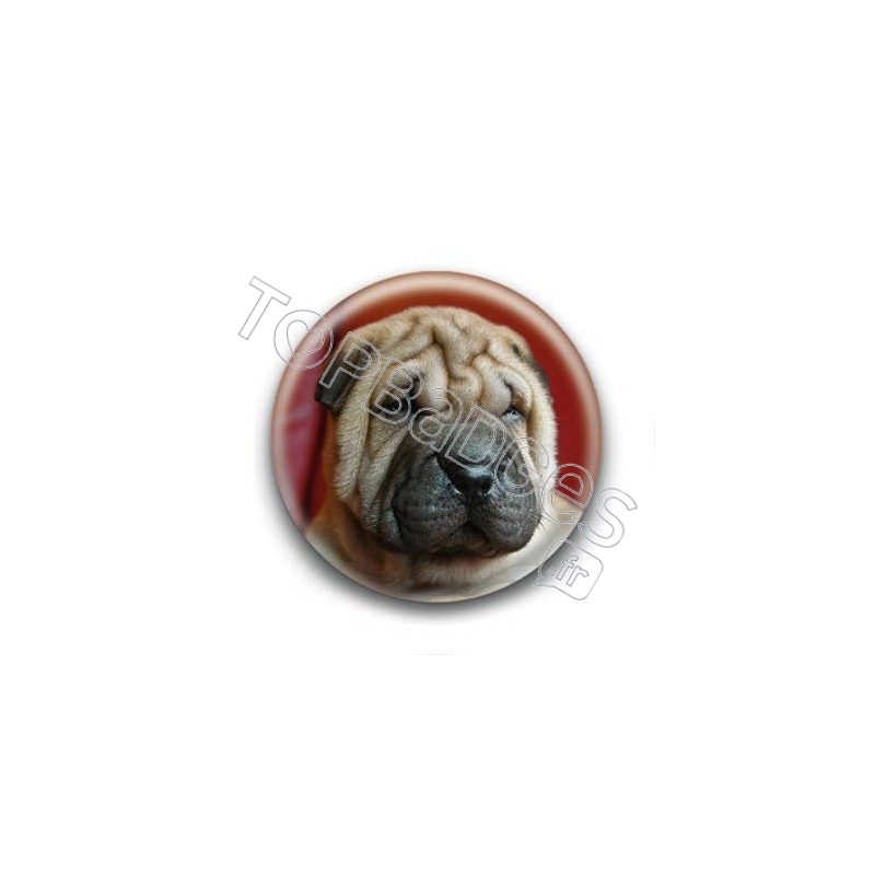 Badge Chiot Shar Pei