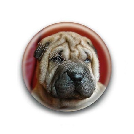 Badge Chiot Shar Pei