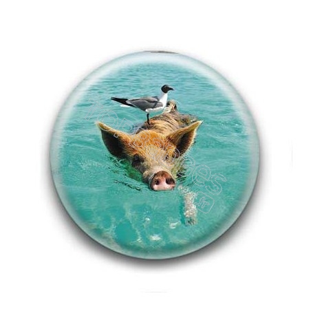 Badge Cochon nageur