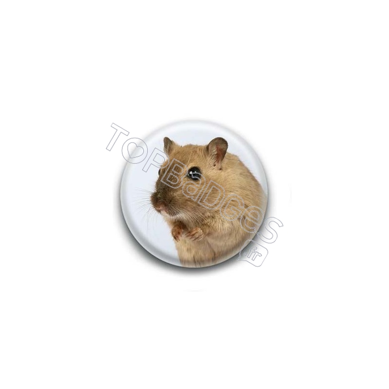 Badge Hamster