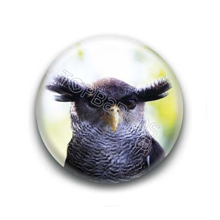 Badge Hibou