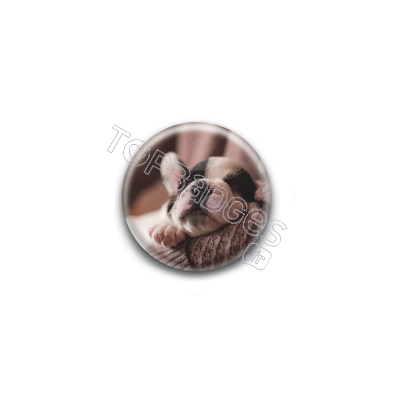 Badge Chiot Endormi