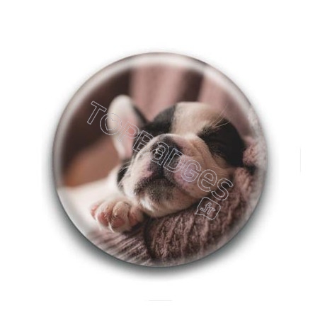 Badge Chiot Endormi