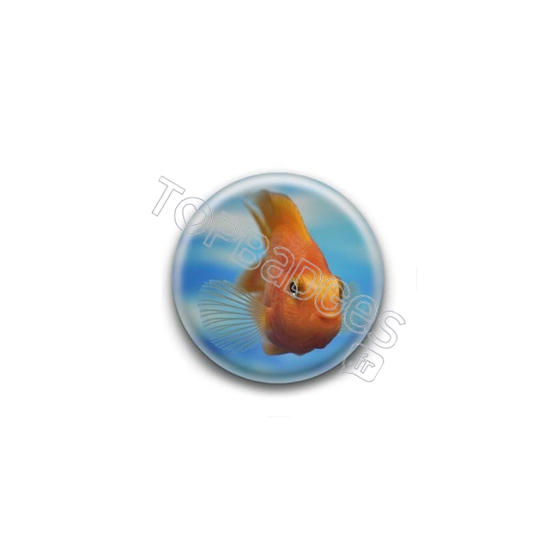 Badge Poisson Orange