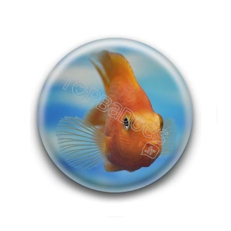 Badge Poisson Orange