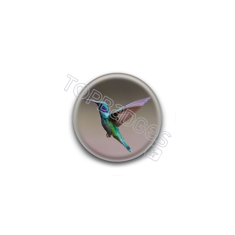 Badge Colibri