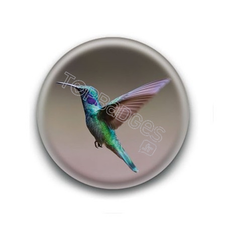 Badge Colibri