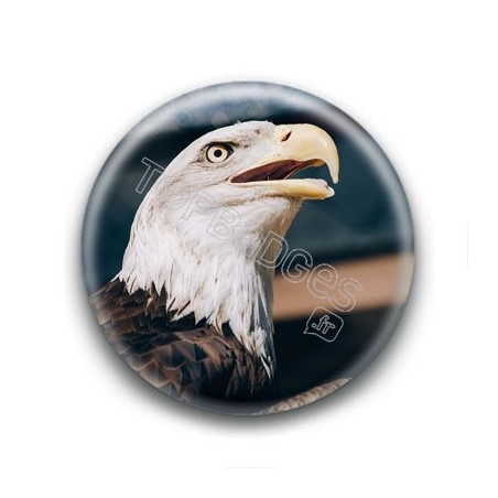 Badge Aigle