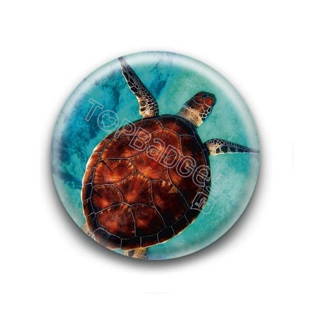 Badge Tortue