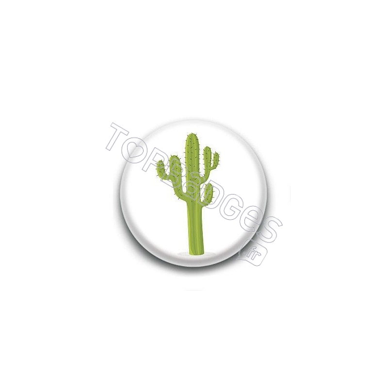 Badge Cactus 2