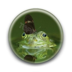 Badge Grenouille Papillon