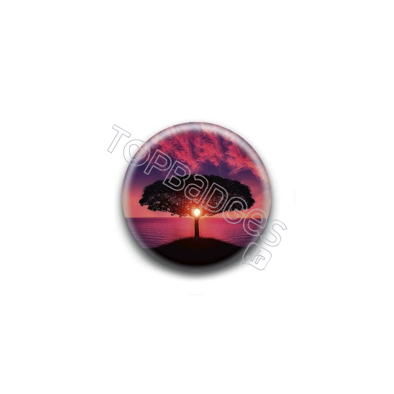 Badge Arbre Solaire