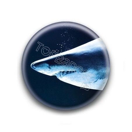 Badge Requin